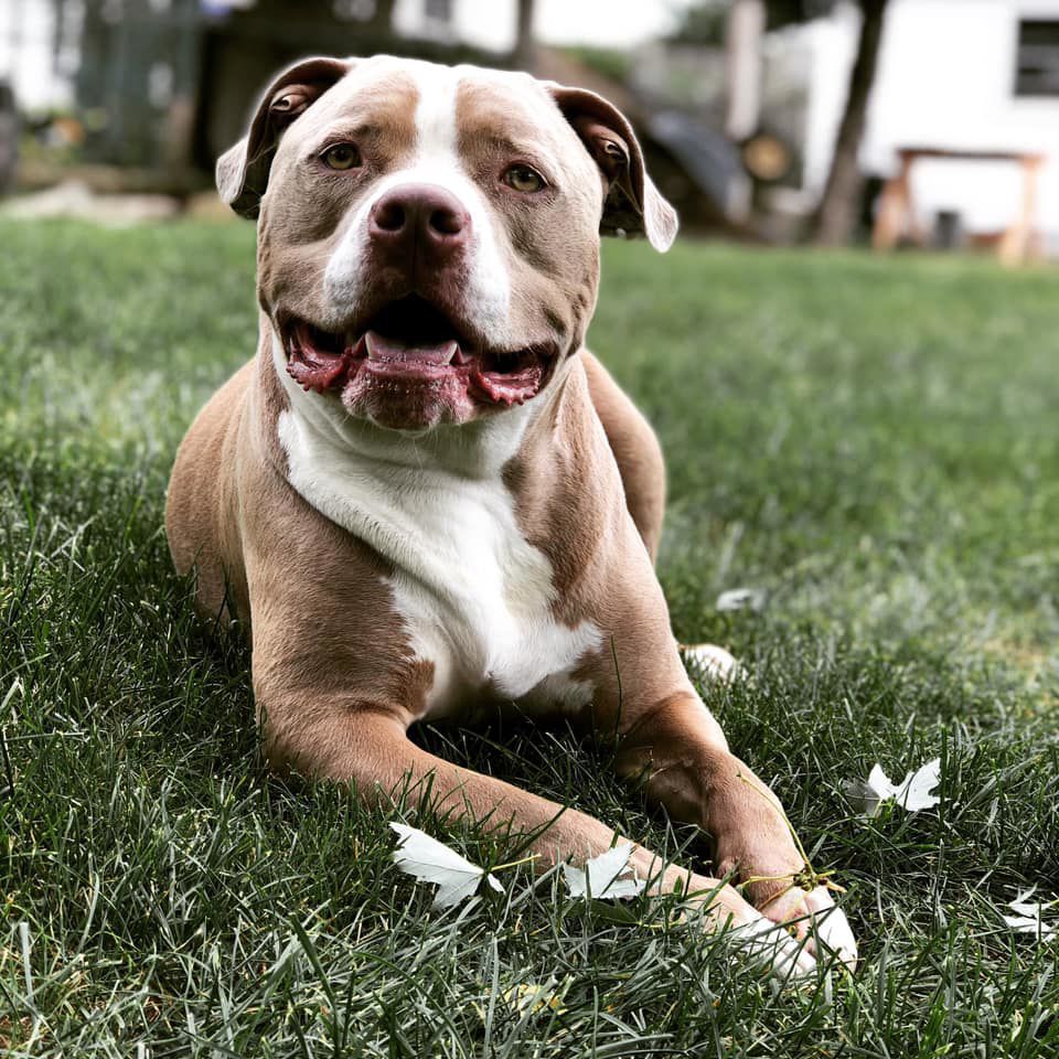 Smile!